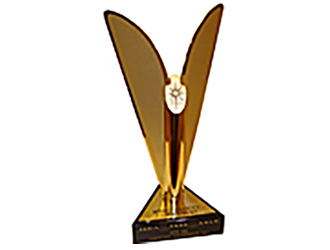 WQC DTE世界质量管理金奖	